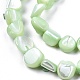 Fili di perle di conchiglia trochid naturale / trochus SSHEL-N032-49-A04-3