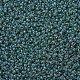 Perles rocailles miyuki rondes SEED-X0054-RR4506-2