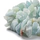 Natural Aquamarine Chip Beads Strands G-M406-A01-2