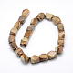 Natural Picture Jasper Faceted Rhombus Beads Strands G-L235-11-3