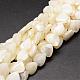 Chapelets de perles de coquille de trochid / trochus coquille SSHEL-K012-05-1