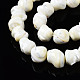 Chapelets de perles de coquille de trochid / trochus coquille SSHEL-S266-003-3