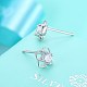 Exquisite 925 Sterling Silver Cubic Zirconia Stud Earrings EJEW-BB20096-4