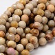 Faceted Round Natural Fossil Coral Bead Strands G-L437-03-8mm-1
