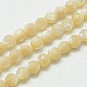 Chapelets de perles de coquillage naturel G-K020-3mm-02-1