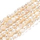 Natural Cultured Freshwater Pearl Beads Strands PEAR-E016-111-1