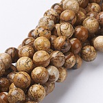 Natural Gemstone Beads Strands, Picture Jasper, Round, 10mm, Hole: 1mm, about 37~39pcs/strand, 15.5 inch