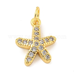 Colgantes de circonita cúbica transparente micro pavé de latón chapado en rack, Plateado de larga duración, con anillos de salto, sin plomo y el cadmio, real 18k chapado en oro, estrella de mar, 14.5x11x2.5mm, agujero: 3 mm