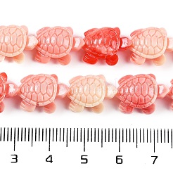 Нити резных бусин из синтетических ракушек&nbsp;SHEL-C008-02