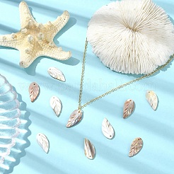 10 шт. подвески из натуральной пресноводной ракушки&nbsp;SHEL-YW0001-10