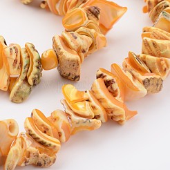 Природные оболочки нитей бисера&nbsp;BSHE-P010-06