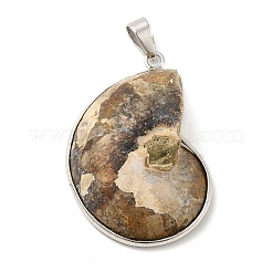 Schnecke fossilen Anhänger&nbsp;G-D051-1
