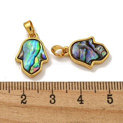 Pendentifs en coquille de paua naturel pavé de laiton plaqué en rack&nbsp;KK-U025-04G-02