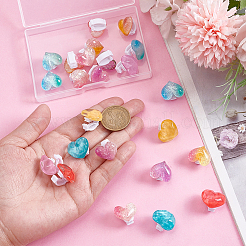 24 Stück 12 Farben Herz transparent Harz Glitzer Pulver Schuhschnalle Clips&nbsp;HJEW-HY00163