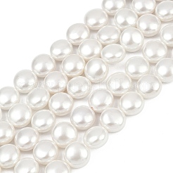 Гальванические оболочки жемчужные бусы пряди&nbsp;BSHE-G027-13B