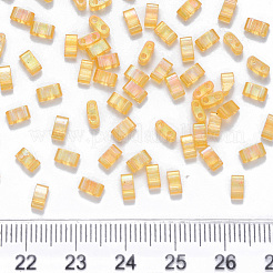 Perles de verre transparentes à peindre à 2 trou fgb&nbsp;X-SEED-S031-M-251