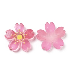Cabochons della resina luminosi&nbsp;RESI-G030-01F