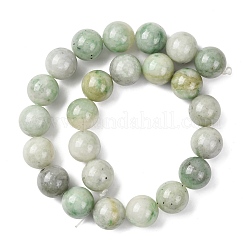 Природные китайский нефрит бисер пряди&nbsp;G-A310-A02-16mm