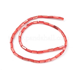 Brins de perles d'eau douce naturelles teints en coquille&nbsp;SHEL-M018-11-07
