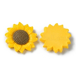 Непрозрачные кабошоны из смолы&nbsp;LS-RESI-H146-02B