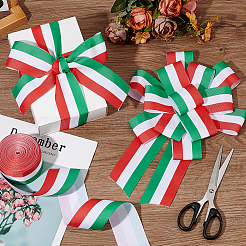 20 ярд полиэстеровой ленты&nbsp;OCOR-PH0006-51B