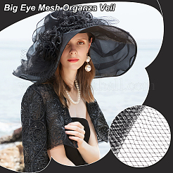 Velo di organza a rete con occhi grandi&nbsp;DIY-WH0028-81B