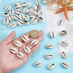 43 шт. бусины из натуральной ракушки каури&nbsp;SSHEL-PH0001-47