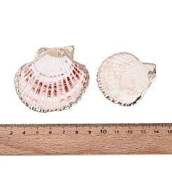 Pendagli di conchiglia di conchiglia di elettroplate&nbsp;SSHEL-S258-69A