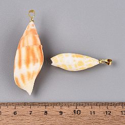 Grandi ciondoli in ottone e conchiglia mitra naturale&nbsp;SHEL-Q029-17KCG