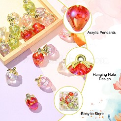 20шт 5 цвета прозрачные акриловые подвески&nbsp;TACR-CJ0001-74