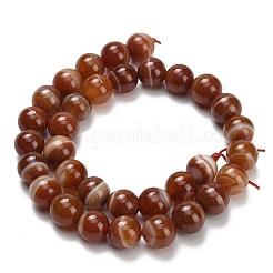 Натуральные полосатые агатовые бусы&nbsp;G-L642-B04-12mm