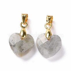 Природные подвески лабрадорита&nbsp;G-C023-07K