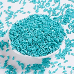 Perles miyuki quart de tila&nbsp;SEED-MY05-QTL412