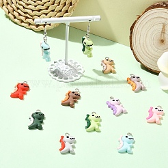 20 шт. 10 цвета непрозрачные подвески из смолы&nbsp;RESI-YW0004-42