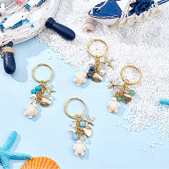 4 porte-clés tortue en forme de coquille d'étoile de mer en acier inoxydable 304&nbsp;KEYC-SP00006