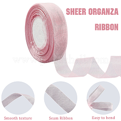 1 rouleau de ruban organza transparent&nbsp;SRIB-CY0001-22A-02