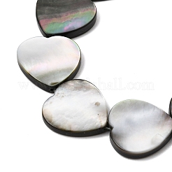 Natur schwarz Lippe Shell Perlen Stränge&nbsp;BSHE-D300-06C