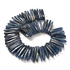 Натуральный кианитовые бисер пряди&nbsp;G-H335-F01