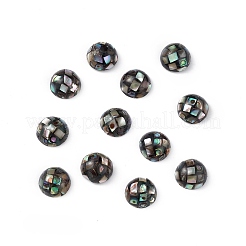 Coquille d'ormeau synthétique/perles de coquille de paua&nbsp;SSHEL-K001-001C