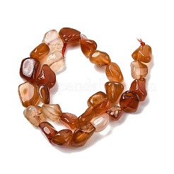 Натуральный красный агат бисер нитей&nbsp;G-P601-A17-03