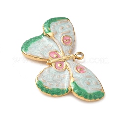 Подвески из нержавеющей стали 304 с эмалью&nbsp;STAS-H483-41B-G