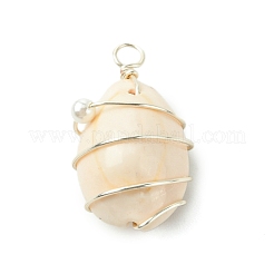 Подвески из натуральной медной проволоки из ракушек каури&nbsp;PALLOY-TA00196-02