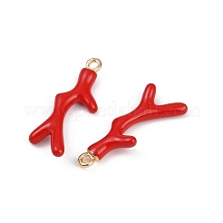 Colgantes de aleación de latón&nbsp;X-KK-R226-15G-03