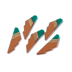 Gros pendentifs en résine opaque et bois de noyer&nbsp;RESI-M027-09I