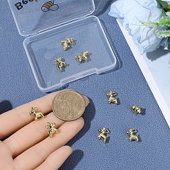 10 Stück Messing Charms&nbsp;KK-BBC0024-48