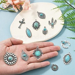 20шт 10 стиля подвески из сплава в тибетском стиле&nbsp;FIND-YW0005-61