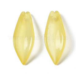 Pulvérisation peint pendentifs en verre transparent&nbsp;GGLA-S054-015E-04