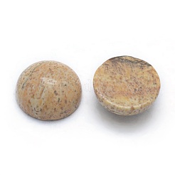 Cabochons en jaspe avec motif naturel&nbsp;G-P393-R51-4MM