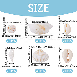 Наборы для самостоятельного изготовления украшений из натуральных ракушек&nbsp;DIY-BT0001-37