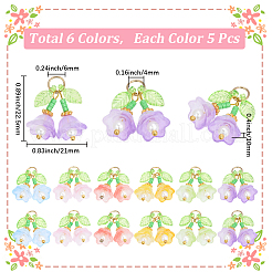 30шт 6 цвета прозрачные стеклянные подвески&nbsp;FIND-SC0019-73